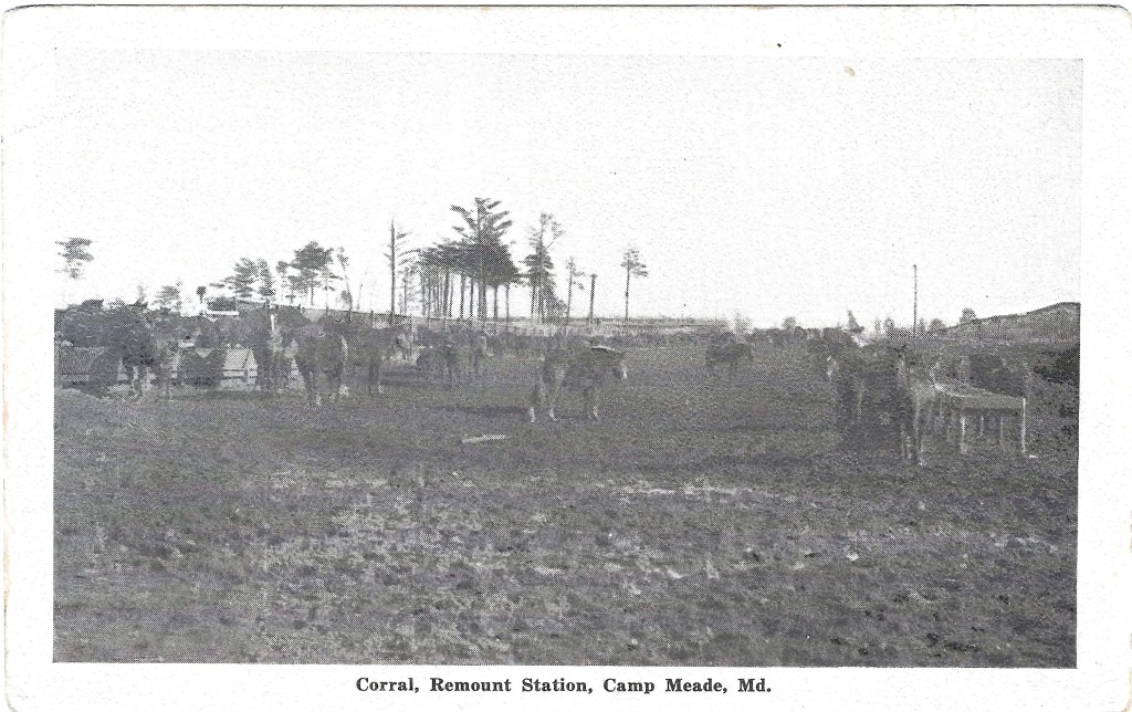 Corral, Remount Station, Camp Meade, Maryland